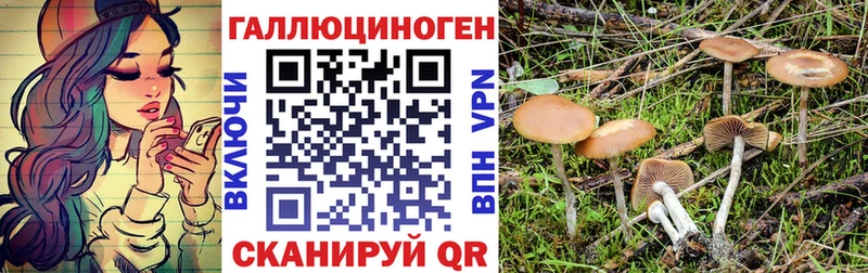 Галлюциногенные грибы мицелий  Володарск 